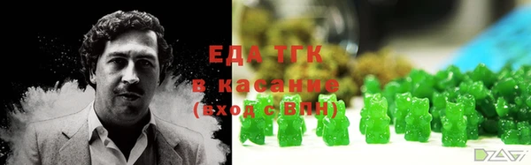 индика Дмитров