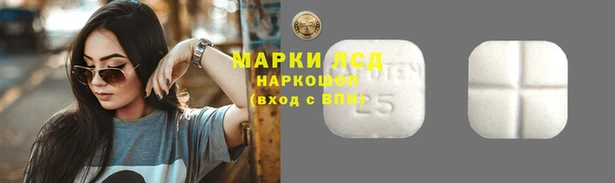 герыч Арсеньев