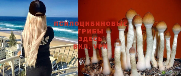 стафф Армянск