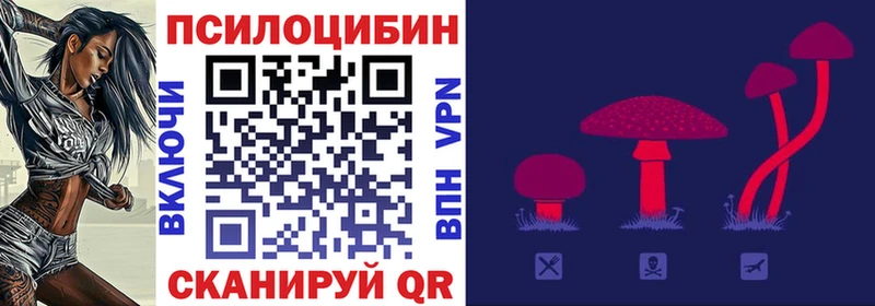 Псилоцибиновые грибы Psilocybe  купить  цена  Мамоново 